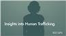 Insights into Human Trafficking